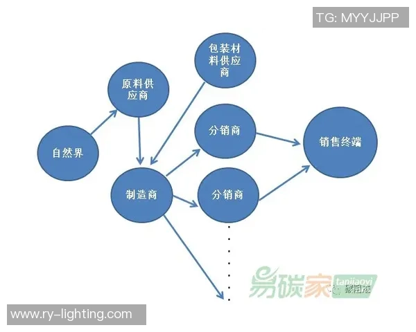 深入分析武汉篮球队的运营策略与市场推广模式